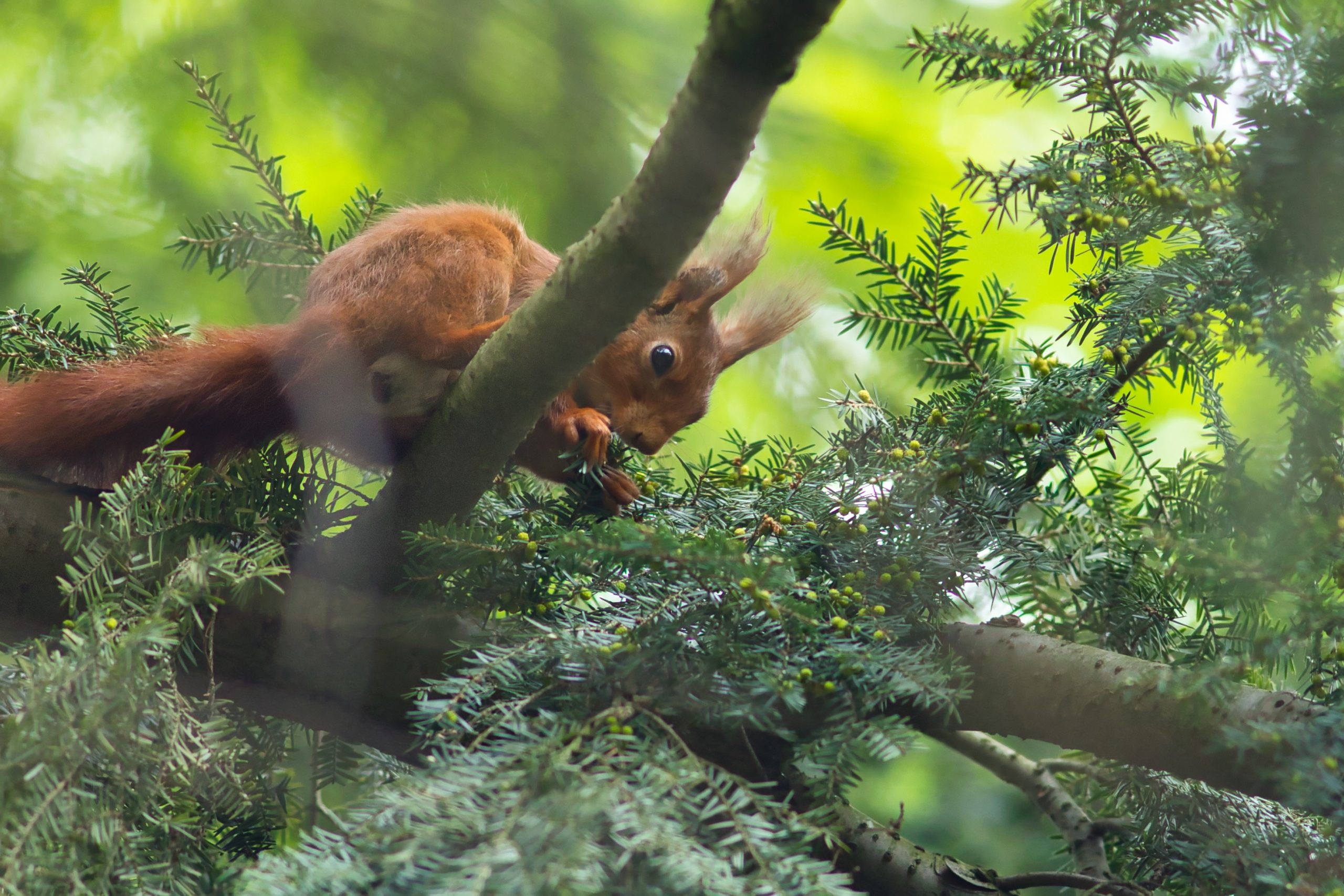 life | in Farbe Fotografie Laura Riedel Karlsruhe